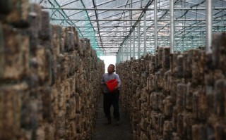 柳韵深科技 山东公布乡村振兴重大项目库第一批入库项目