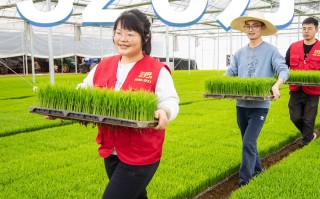 技税科技 黑龙江：农业科技“税”助力 藏粮于技有“新”招