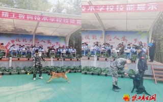 数码科技 陕西 《东海密藏》获同意拍摄，备案单位为陕西西影数码传媒科技有限责任公司