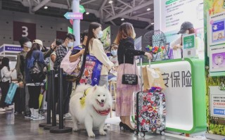 未来科技城宠物友好 带着爱宠去哪儿玩？宠物友好就在身边